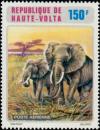 Colnect-5112-900-African-Elephant-Loxodonta-africana.jpg