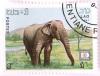 Colnect-532-920-Asian-Elephant-Elephas-maximus.jpg