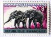 Colnect-542-134-African-Elephant-Loxodonta-africana.jpg