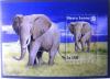 Colnect-542-721-African-Elephant-Loxodonta-africana.jpg