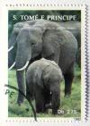 Colnect-543-682-African-Elephant-Loxodonta-africana.jpg