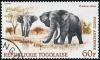 Colnect-5546-554-African-Elephant-Loxodonta-africana.jpg