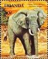 Colnect-5608-815-African-Elephant-Loxodonta-africana.jpg