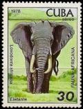 Colnect-1434-281-African-Elephant-Loxodonta-africana.jpg