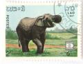 Colnect-532-919-Asian-Elephant-Elephas-maximus.jpg