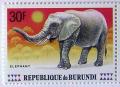 Colnect-555-048-African-Elephant-Loxodonta-africana.jpg