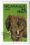 Colnect-558-030-African-Elephant-Loxodonta-africana.jpg