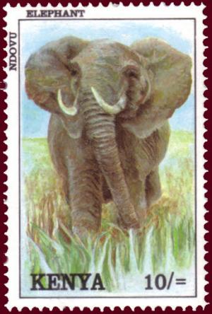 Colnect-1734-385-African-Elephant-Loxodonta-africana.jpg