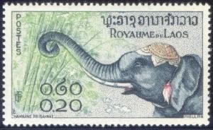 Colnect-241-389-Asian-Elephant-Elephas-maximus.jpg