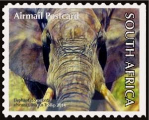 Colnect-4934-816-African-Elephant-Loxodonta-africana.jpg