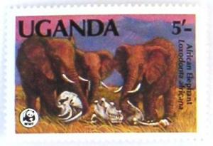 Colnect-539-288-African-Elephant-Loxodonta-africana.jpg