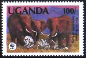 Colnect-539-295-African-Elephant-Loxodonta-africana.jpg