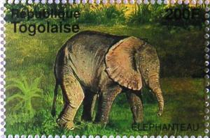 Colnect-539-672-African-Elephant-Loxodonta-africana.jpg