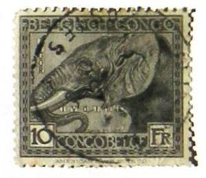 Colnect-553-785-African-Elephant-Loxodonta-africana.jpg
