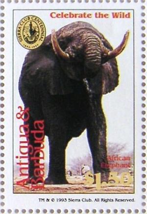 Colnect-560-319-African-Elephant-Loxodonta-africana.jpg