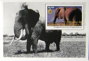 Colnect-560-321-African-Elephant-Loxodonta-africana.jpg