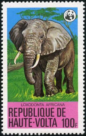 Colnect-6342-689-African-Elephant-Loxodonta-africana.jpg