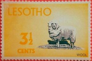Colnect-745-196-Merino-Sheep-Ovis-orientalis-aries.jpg