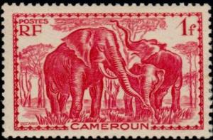 Colnect-787-772-African-Elephant-Loxodonta-africana.jpg