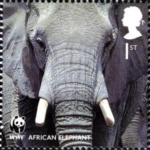 Colnect-911-029-African-Elephant-Loxodonta-africana.jpg