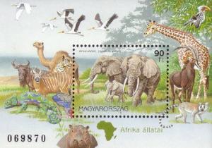 Colnect-915-688-African-Elephant-Loxodonta-africana.jpg