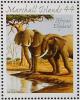 Colnect-1203-467-African-Elephant-Loxodonta-africana.jpg