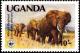 Colnect-1700-197-African-Elephant-Loxodonta-africana.jpg