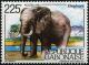Colnect-5146-891-African-Elephant-Loxodonta-africana.jpg