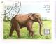 Colnect-532-922-Asian-Elephant-Elephas-maximus.jpg