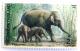 Colnect-533-583-Asian-Elephant-Elephas-maximus.jpg