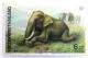 Colnect-533-585-Asian-Elephant-Elephas-maximus.jpg