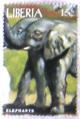 Colnect-547-671-African-Elephant-Loxodonta-africana.jpg