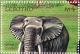 Colnect-548-150-African-Elephant-Loxodonta-africana.jpg