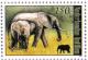 Colnect-560-438-African-Elephant-Loxodonta-africana.jpg