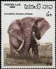 Colnect-748-724-African-Elephant-Loxodonta-africana.jpg