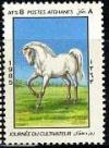 Colnect-583-496-Horse-Equus-ferus-caballus.jpg