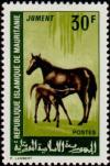 Colnect-989-407-Horse-Equus-ferus-caballus.jpg