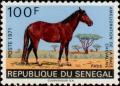 Colnect-1995-916-Pass-Equus-ferus-caballus.jpg