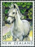 Colnect-2247-510-Pony-Equus-ferus-caballus.jpg