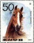 Colnect-723-847-Horse-Equus-ferus-caballus.jpg