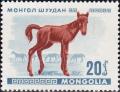 Colnect-882-754-Foal-Equus-ferus-caballus.jpg