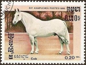Colnect-2142-477-Cob-Equus-ferus-caballus.jpg