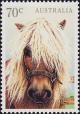 Colnect-3823-264-Pony-Equus-ferus-caballus.jpg