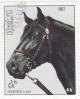 Colnect-955-628-Horse-Equus-ferus-caballus.jpg