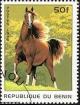 Colnect-995-276-Horse-Equus-ferus-caballus.jpg