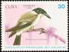 Colnect-2624-263-Grey-Butcherbird-Cracticus-torquatus.jpg