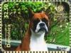 Colnect-3278-360-German-Boxer-with-Bush-in-Background.jpg