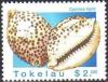 Colnect-3506-818-Giant-Tiger-Cowrie-Cypraea-tigris.jpg