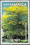 Colnect-3690-615-Tabebuia-serratifolia---Yellow-Poul.jpg