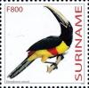 Colnect-3829-900-Pteroglossus-aracari.jpg